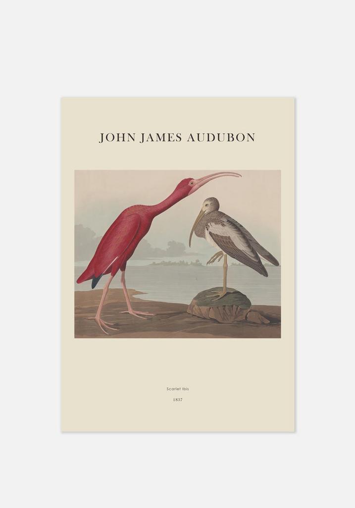 Постер №007 | 60х90 см