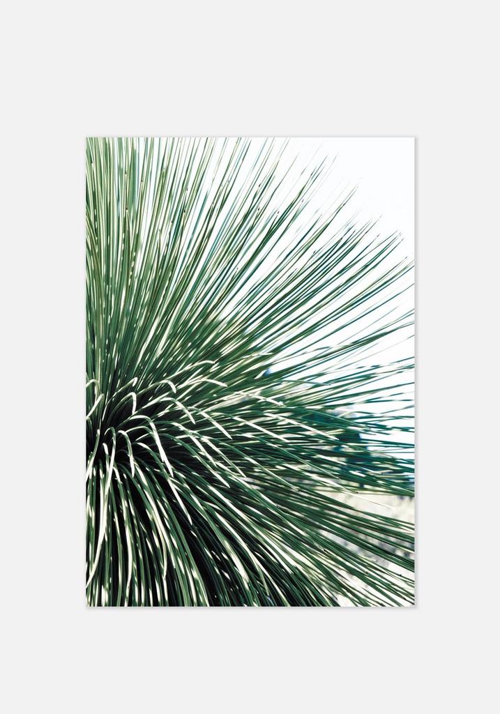 Постер №026 | 60х90 см