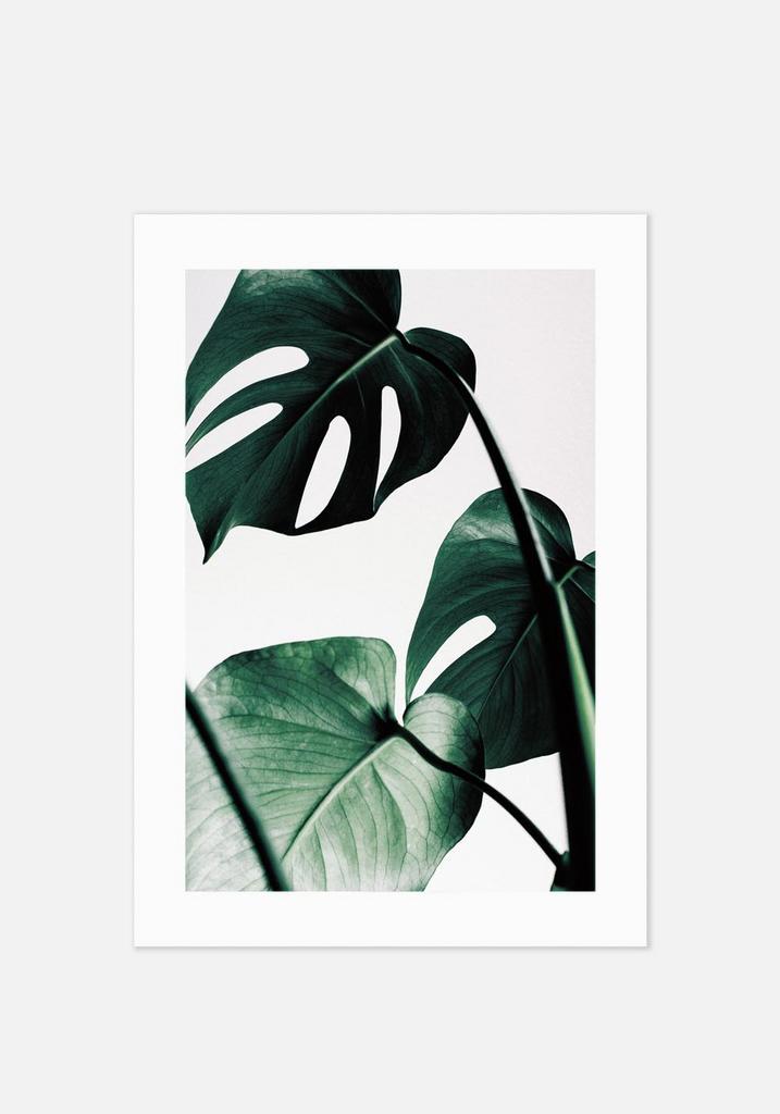 Постер №020 | 70х100 см