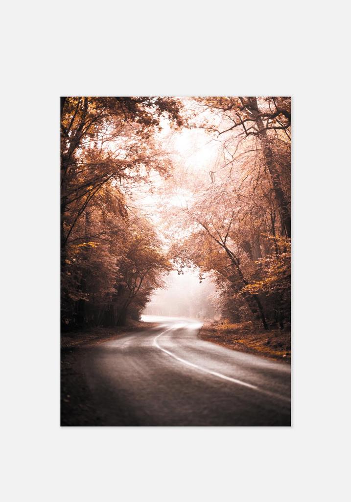 Постер №027 | 70х100 см