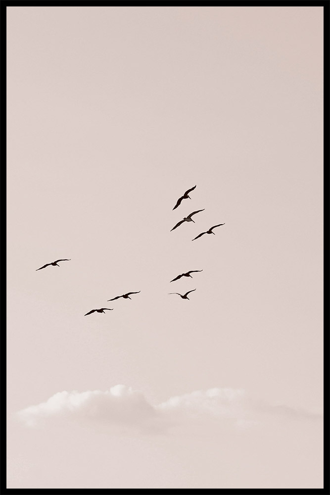 Постер Птицы в Небе
