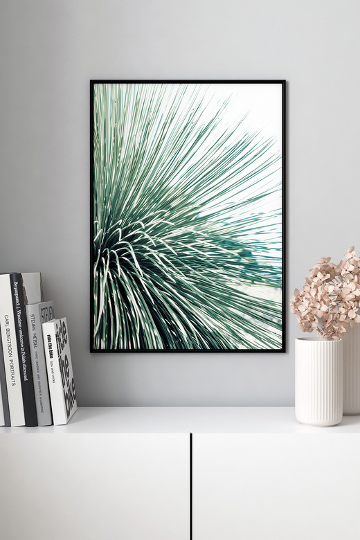 Постер Cactus Branch