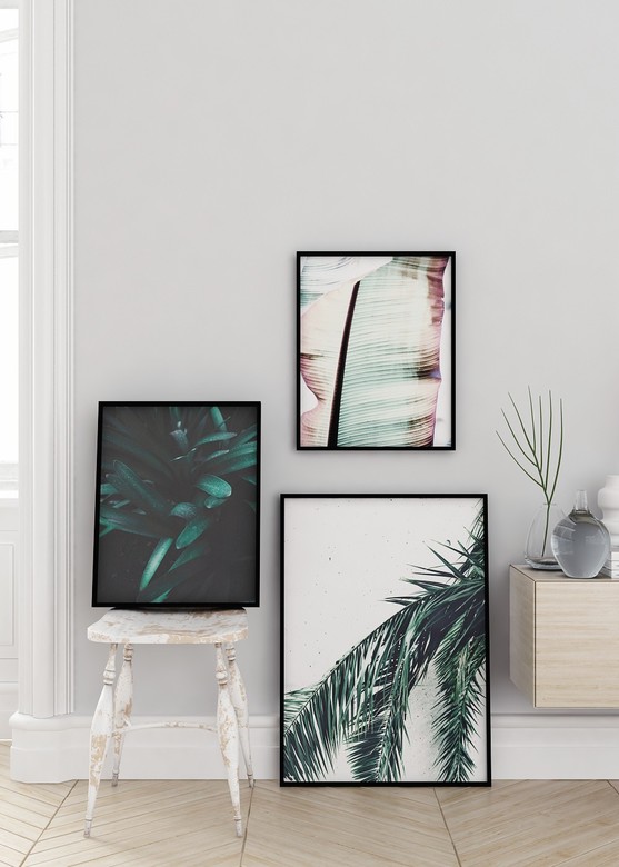 Постер Пальмовая Ветвь