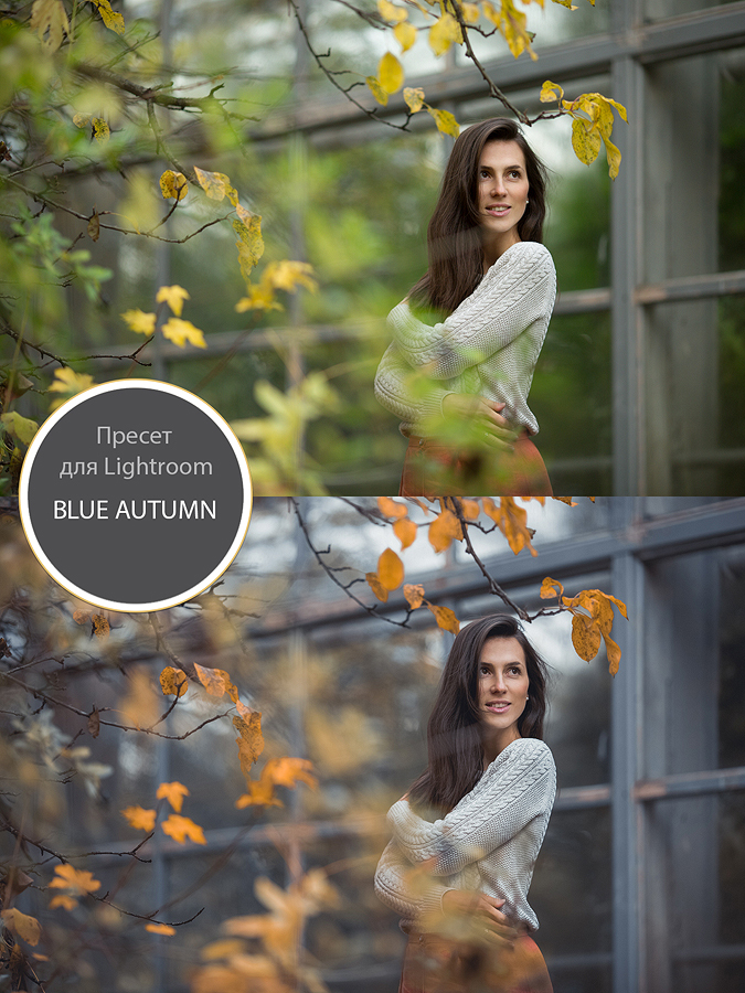Пресет для Lightroom "blue autunm"