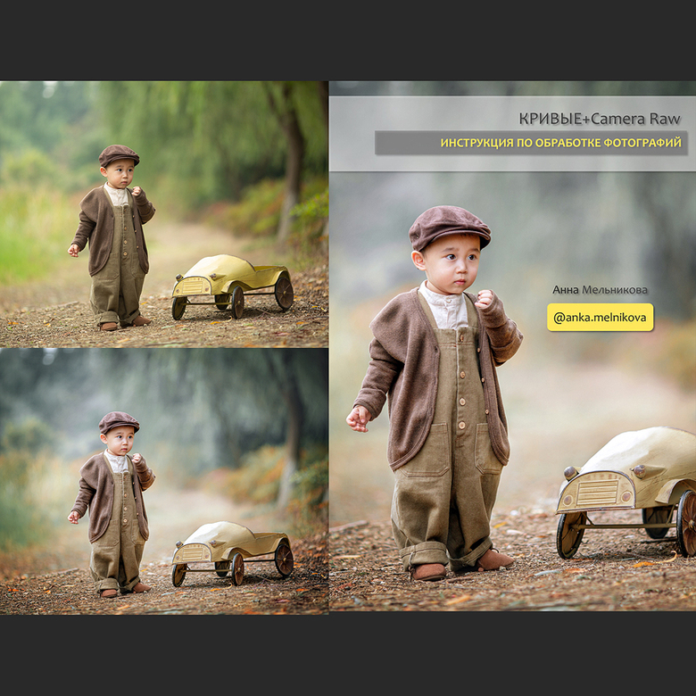 Инструкция по обработке Camera Raw + Кривые