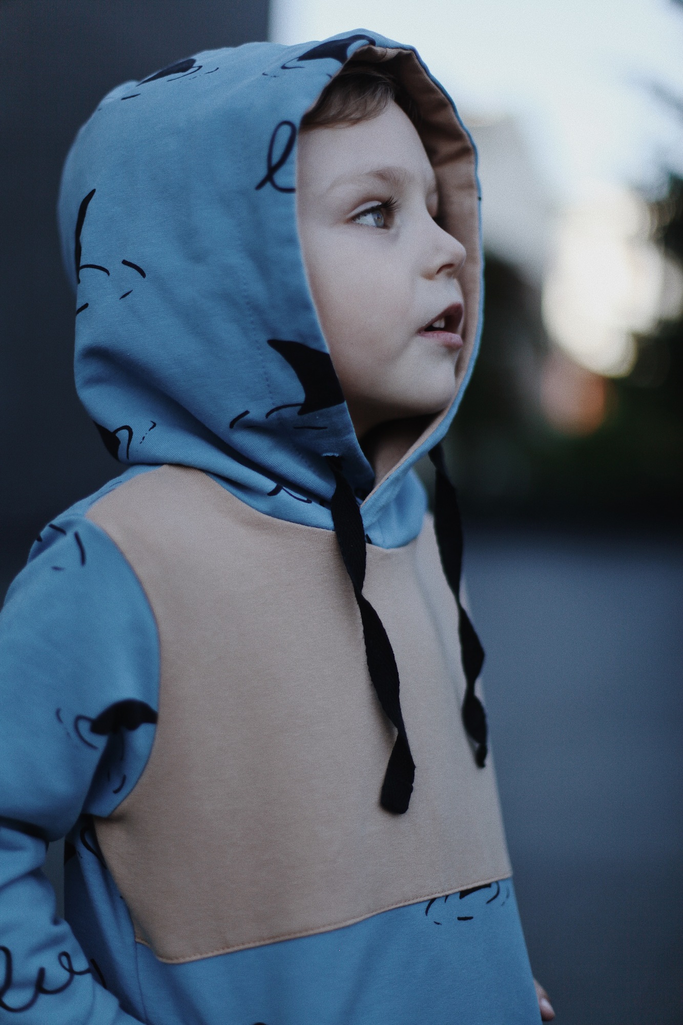 Худи «Sea», выкройка IVАhm №17