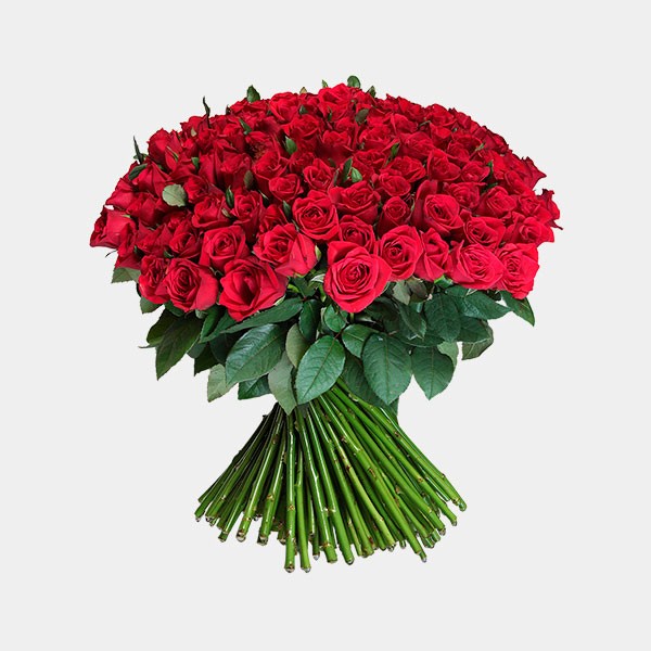 Букет "151 красная роза" (Эквадор)