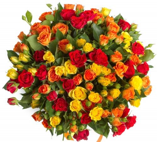 Букет из 41 кустовой розы