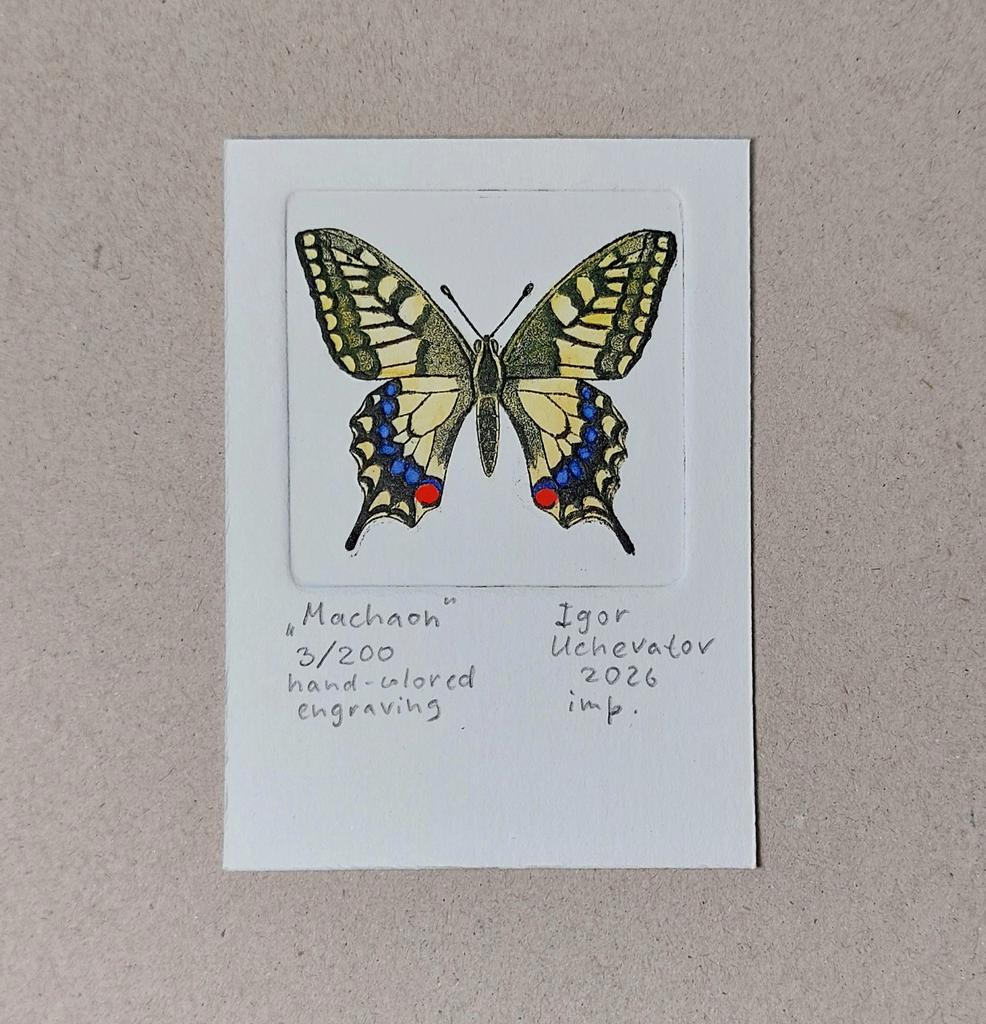 "Machaon" intaglio print