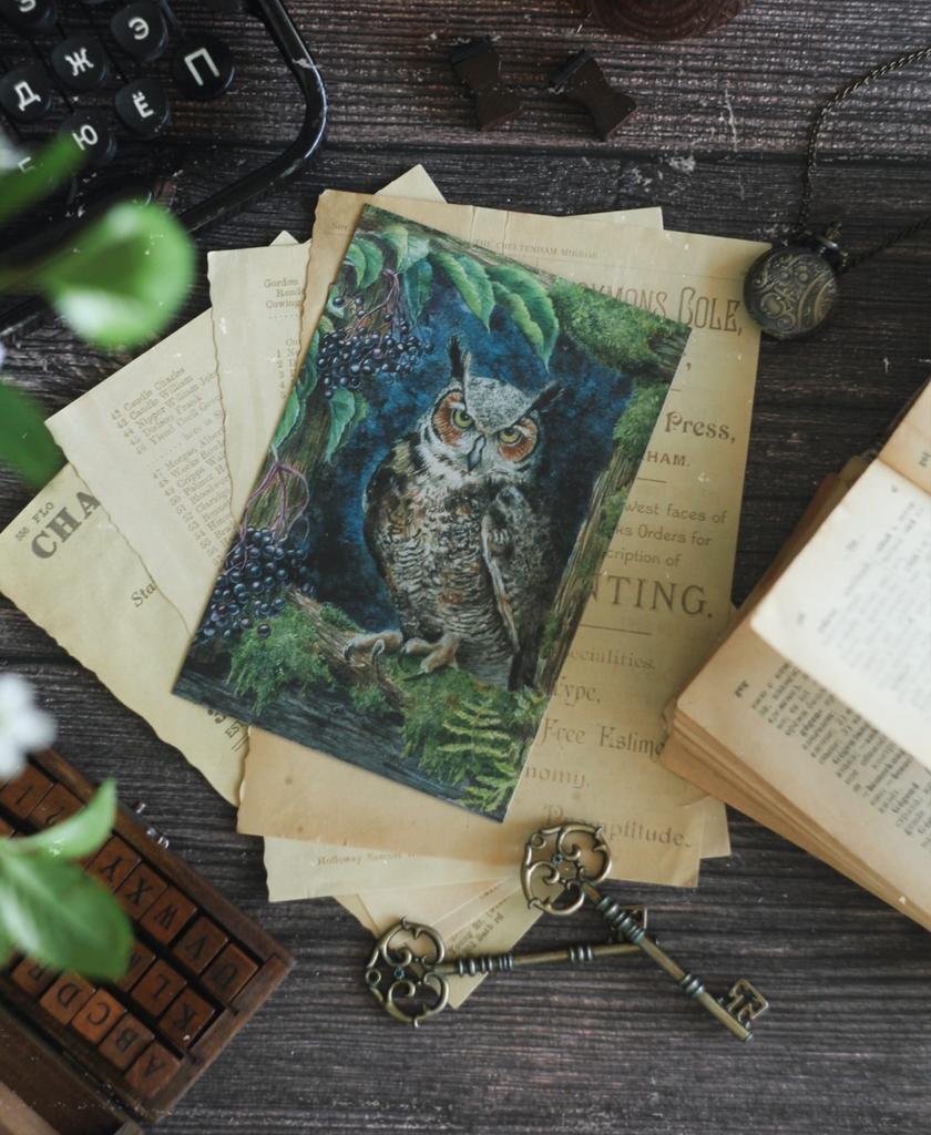 Открытка "Мудрый филин"