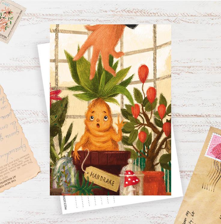 Открытка "Мандрагора"