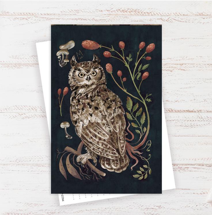 Открытка "Совиные очи"