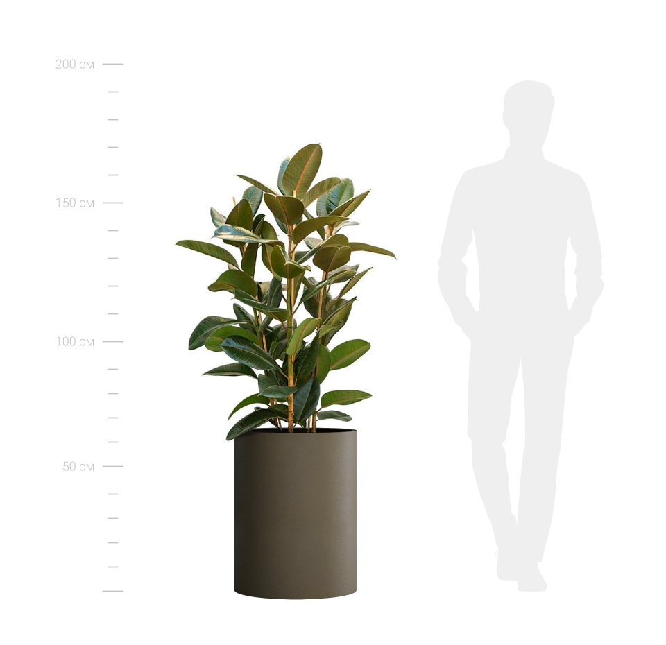 КАШПО CYLINDER D50 H65 OLIVE