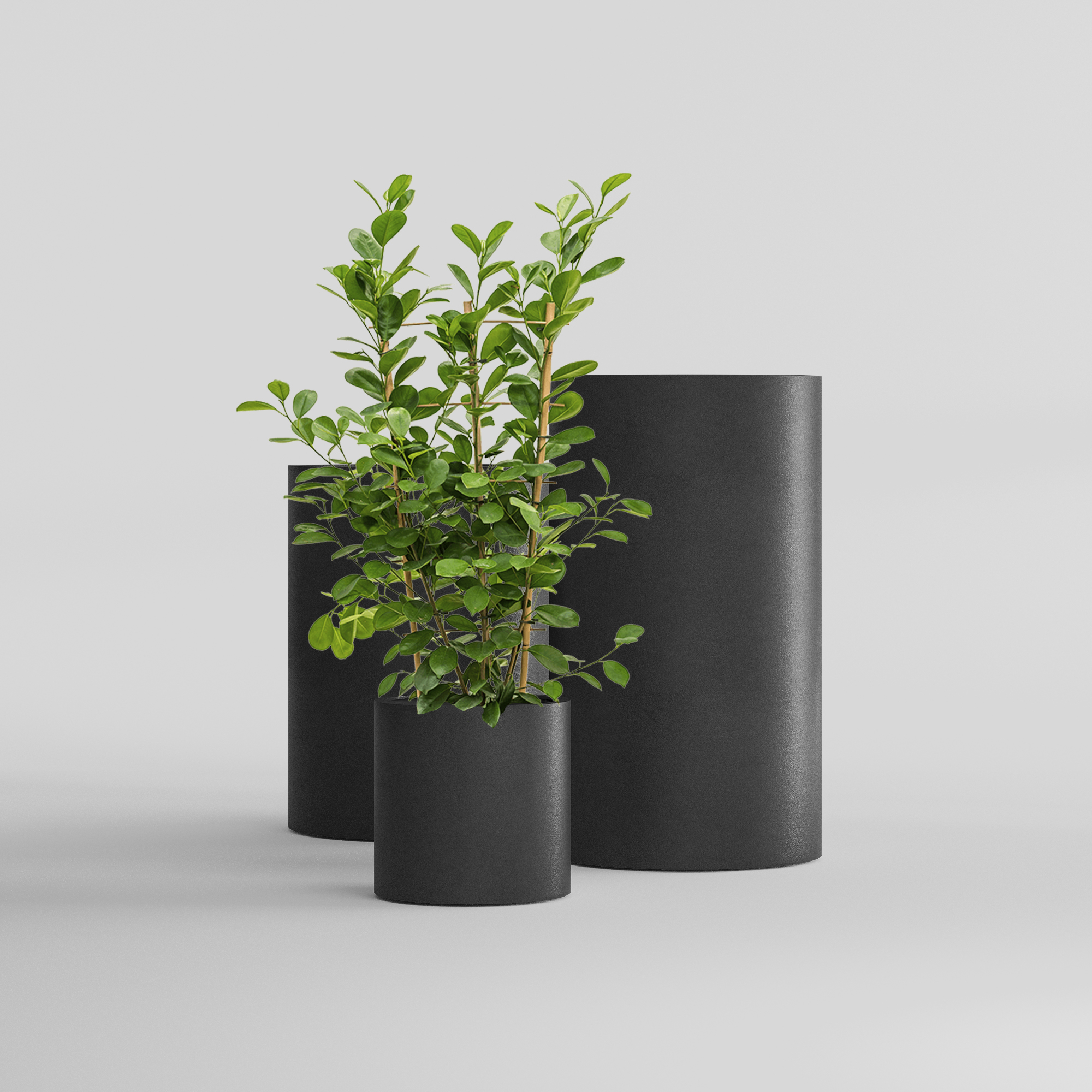 КАШПО CYLINDER D45 H45 NERO