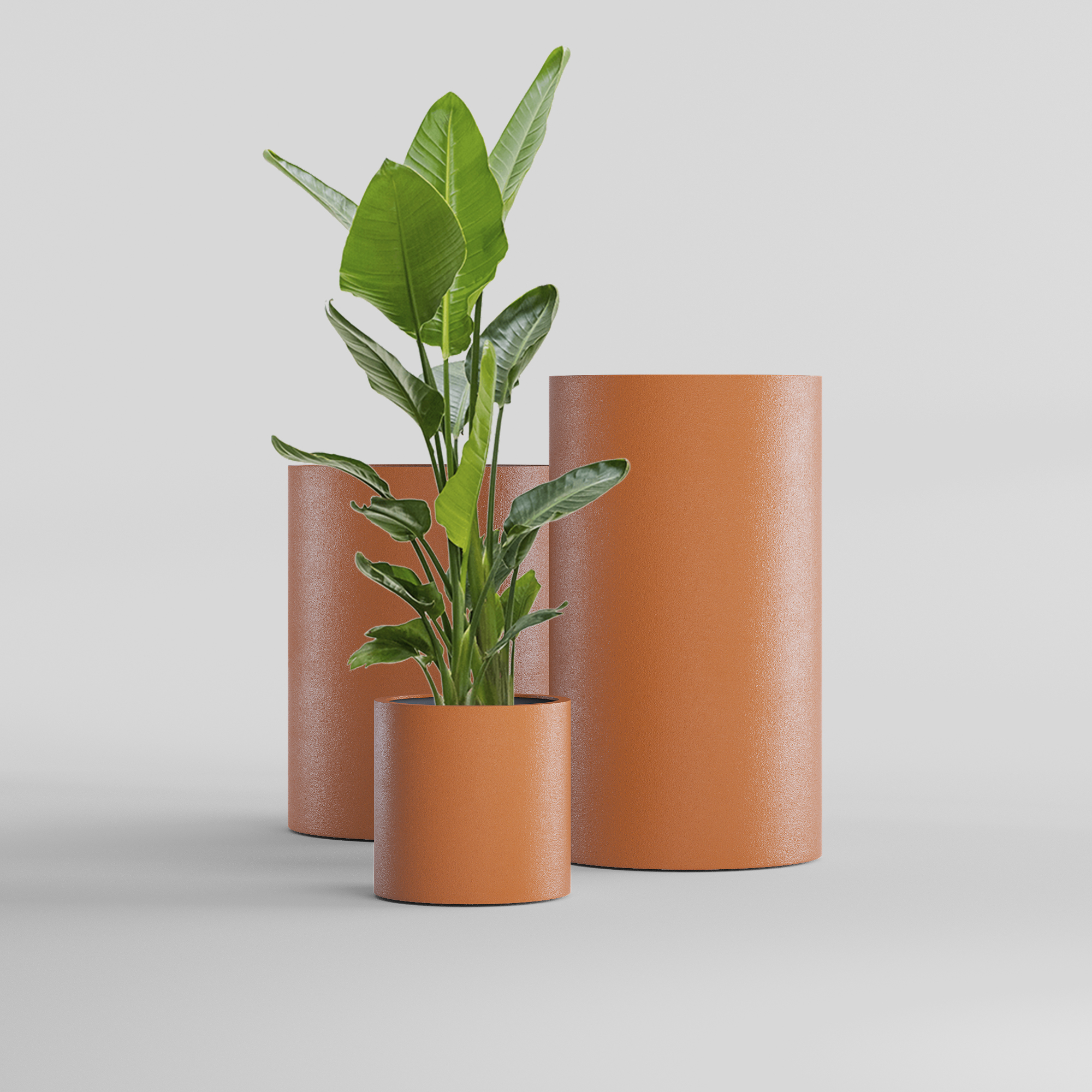 КАШПО CYLINDER D45 H45 CARROT