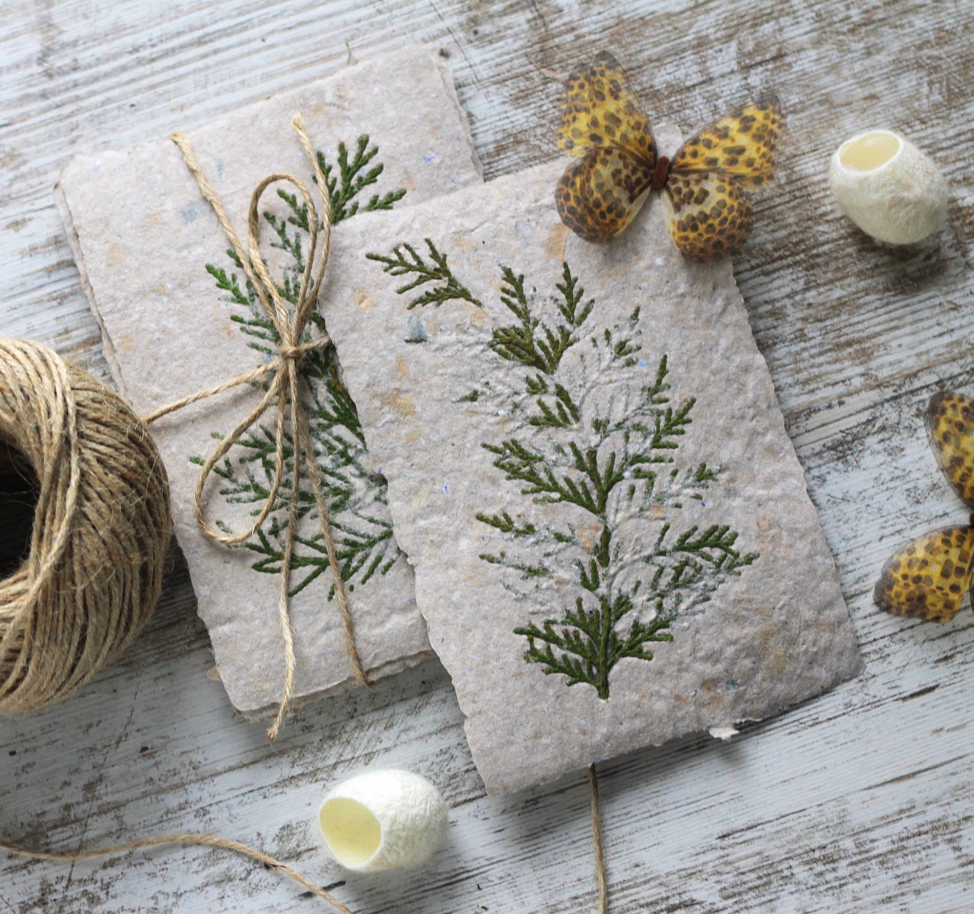 Открытка с ботаникой