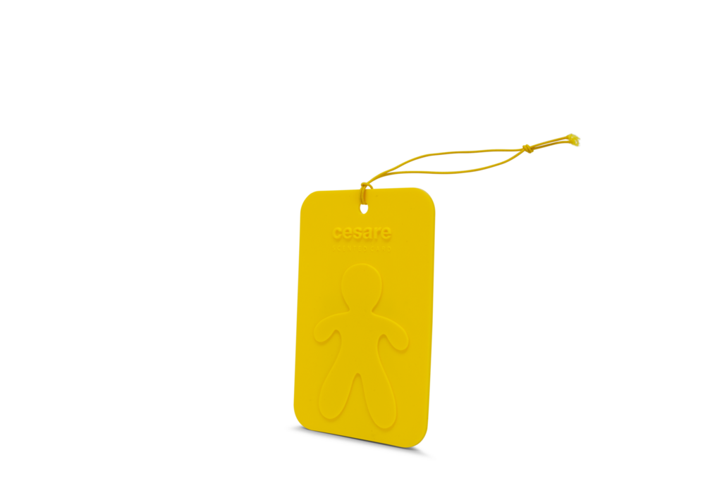 MR&MRS FRAGRANCE Аромакарточка для автомобиля и гардеробной / CESARE VANILLA Ваниль