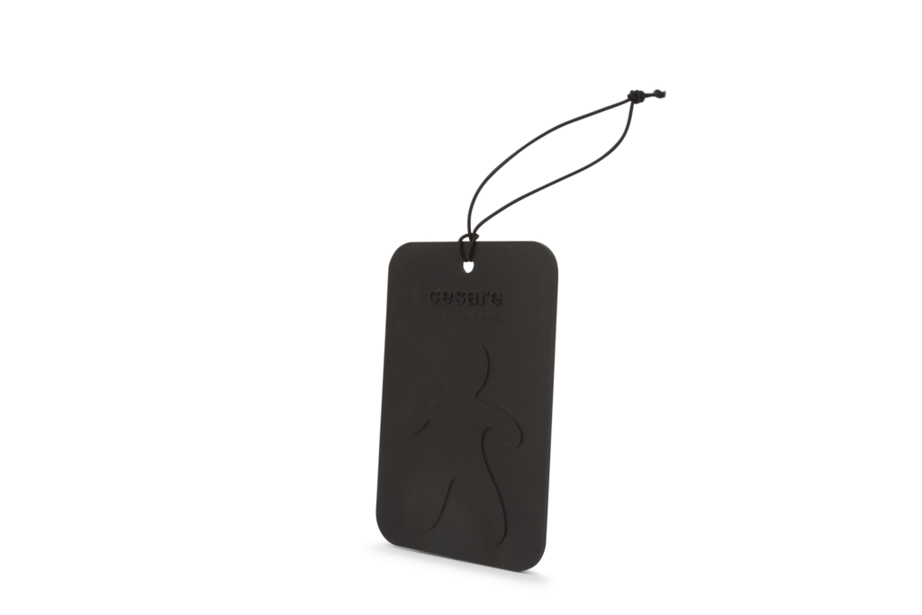 MR&MRS FRAGRANCE Аромакарточка для автомобиля и гардеробной / CESARE CEDAR WOOD Кедр