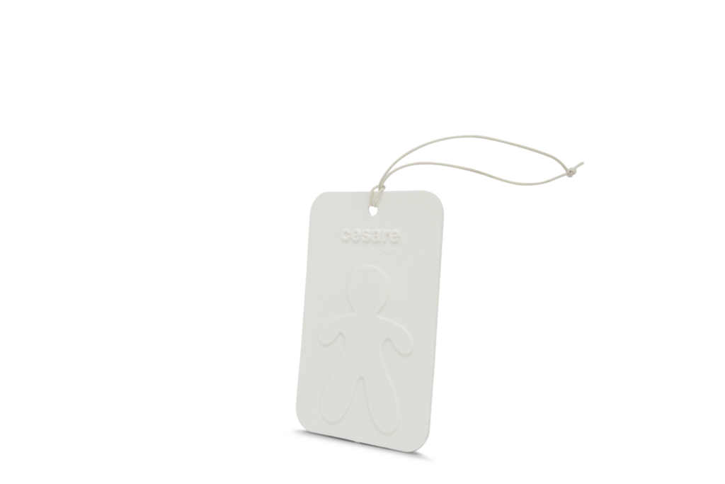 MR&MRS FRAGRANCE Аромакарточка для автомобиля и гардеробной / CESARE FRESH AIR Свежий Воздух