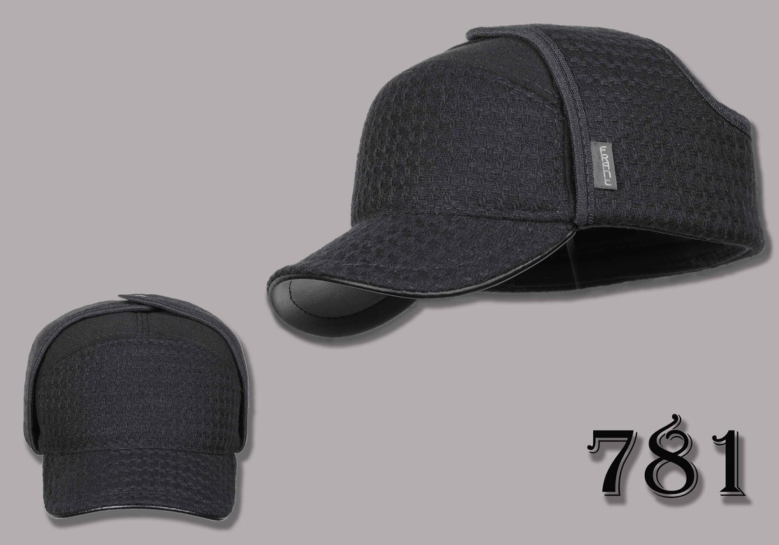 пилот 781