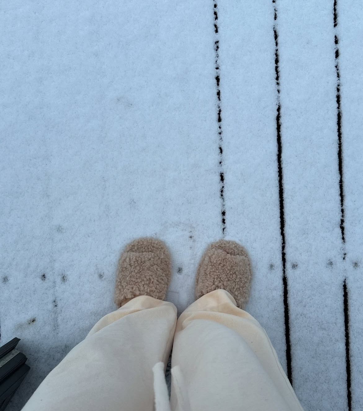 Тапочки тедди из натуральной овчины с прямой шлейкой в бежевом цвете