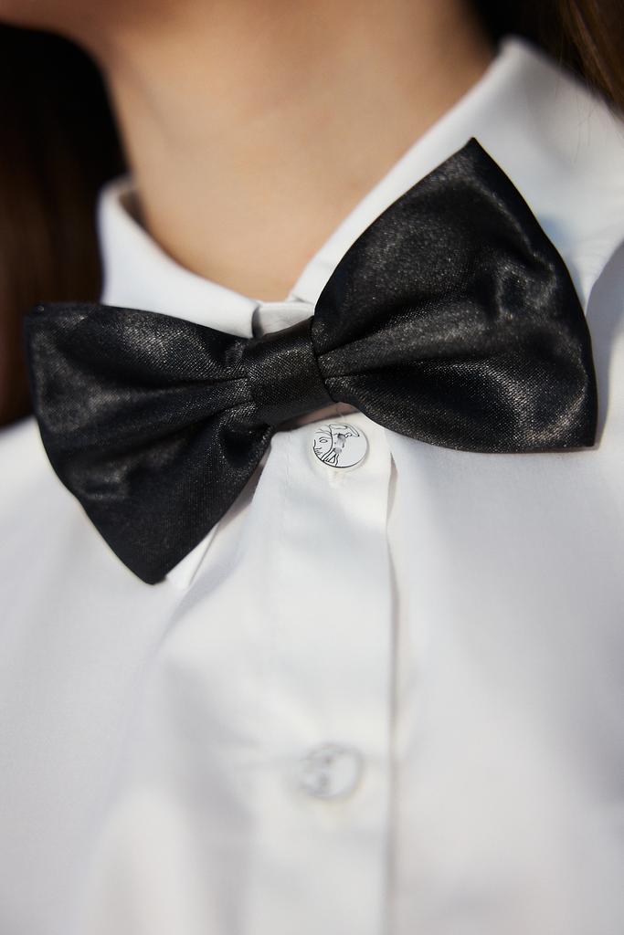 Бабочка  черная