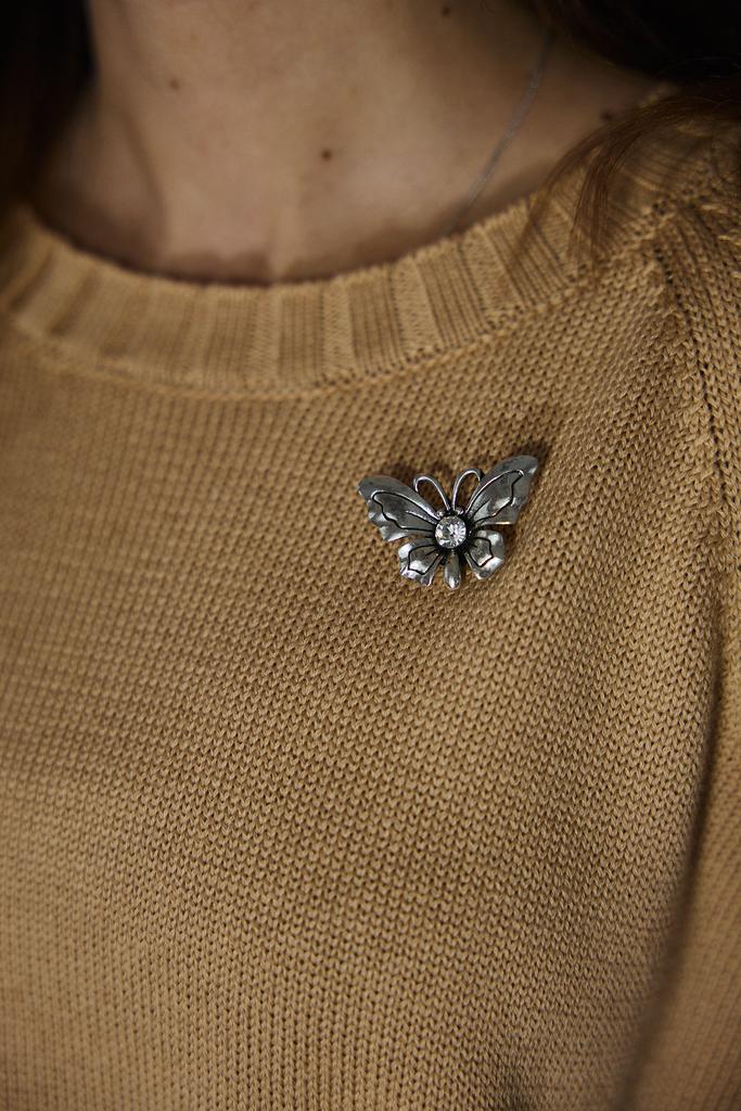 Броши на магните