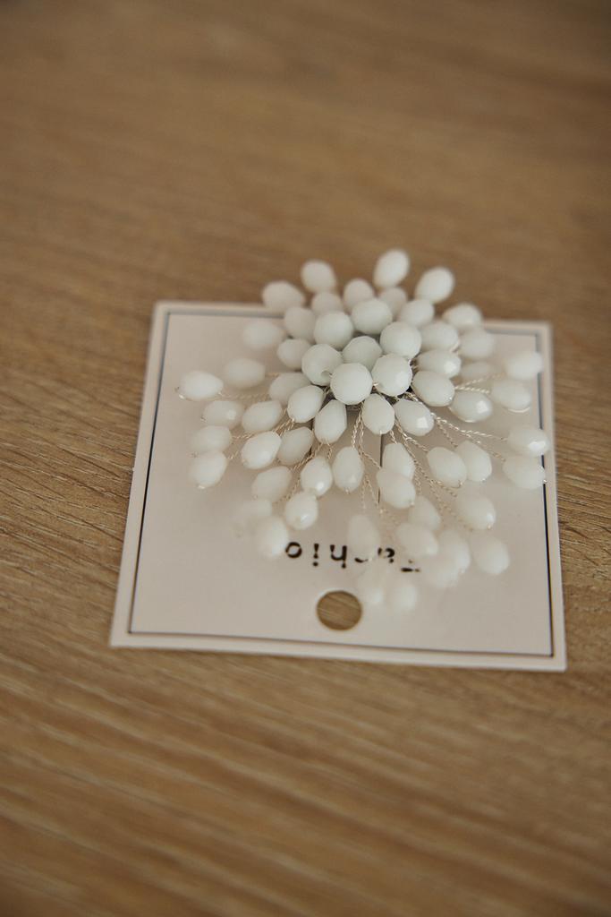 Брошь с  двумя креплениями