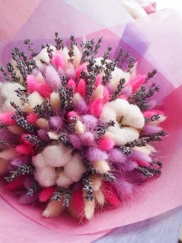 купить сухоцветы в Москве