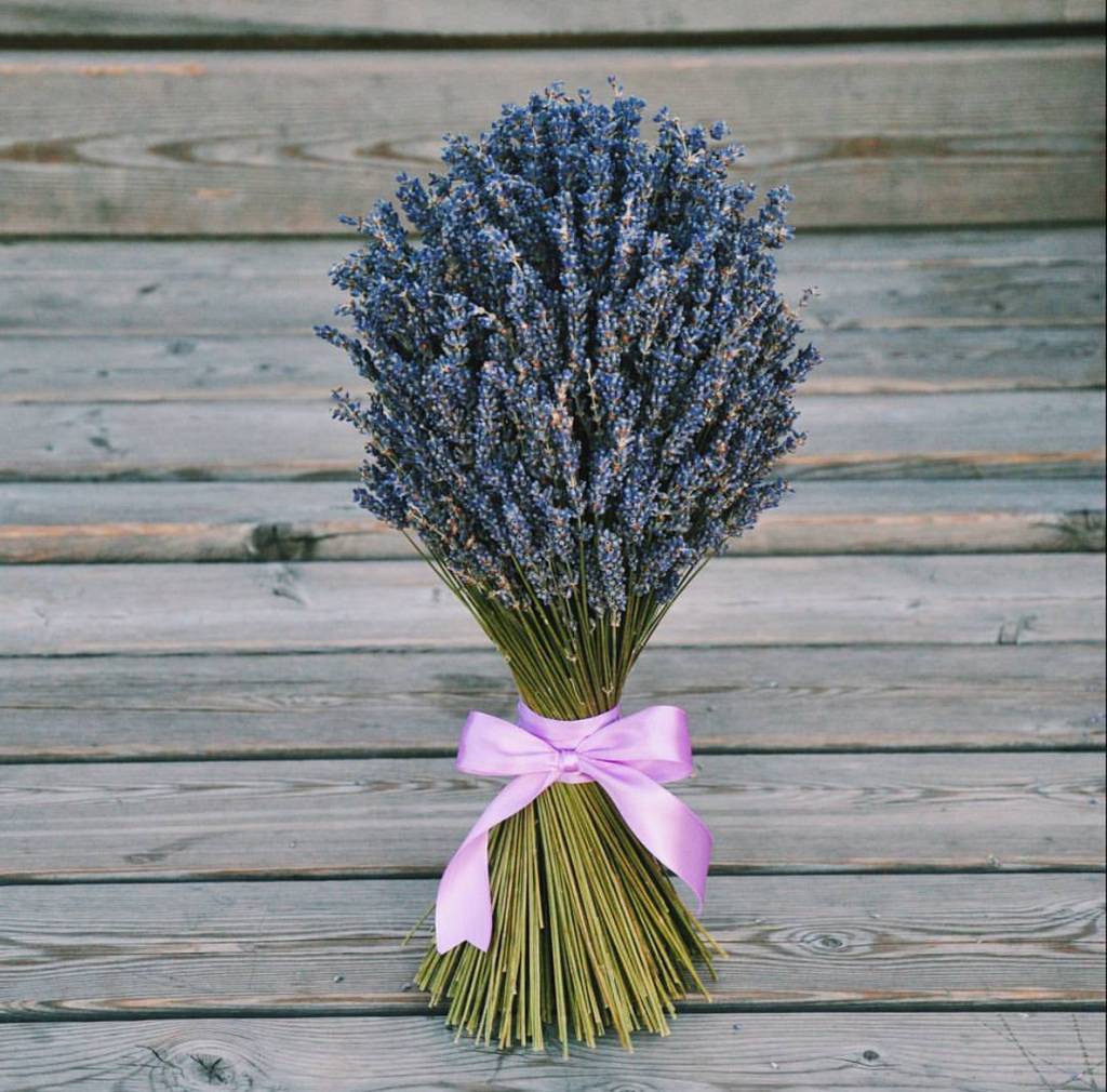 купить букет лаванды с доставкой по Москве