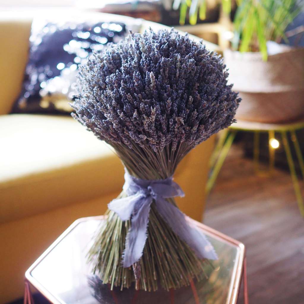 лавандовый букет из крымского лавандина lafleurdecor.ru