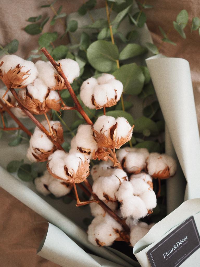 Букет хлопка с эвкалиптом