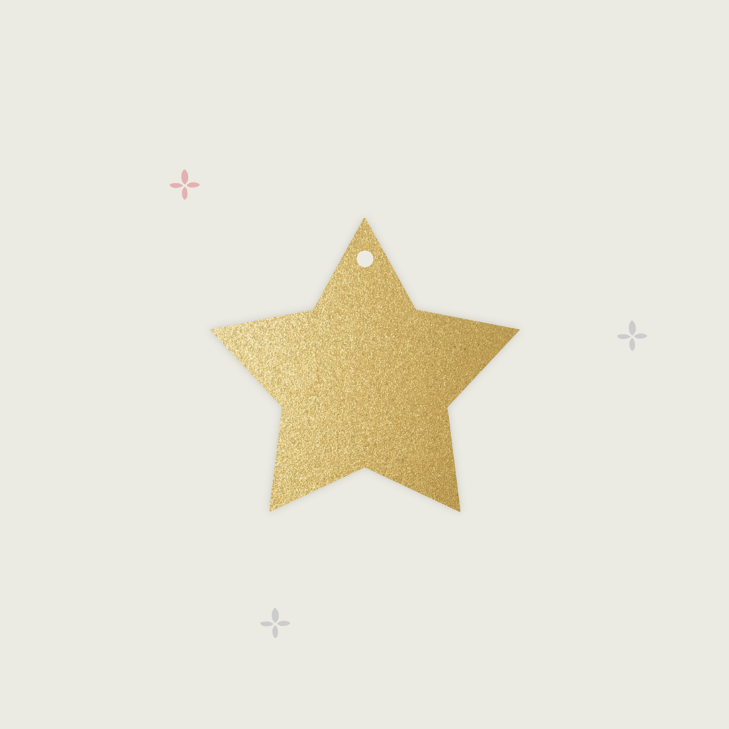 Бирка-звезда