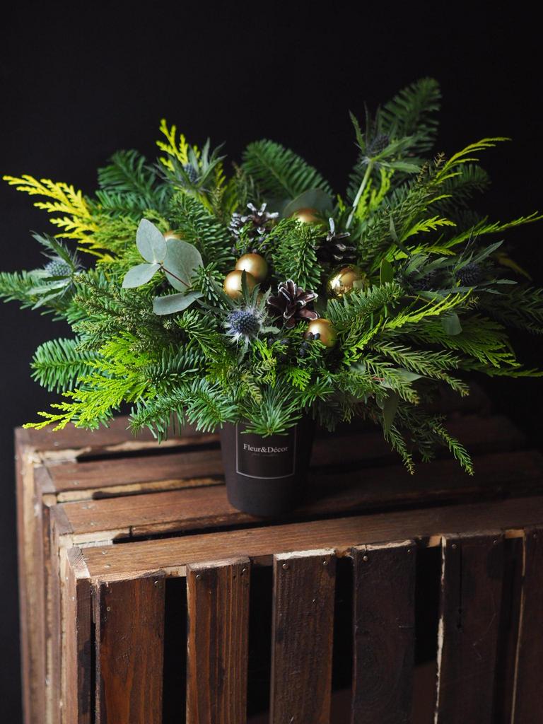 Композиция хвойная в стаканчике