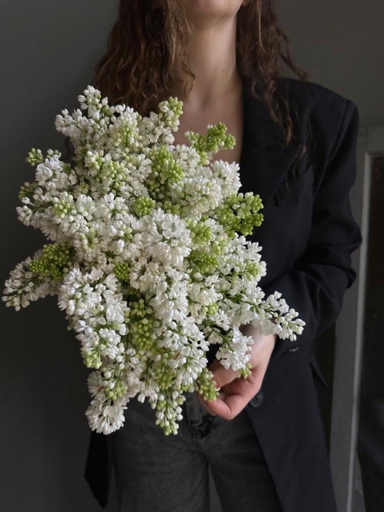 Сирень белая