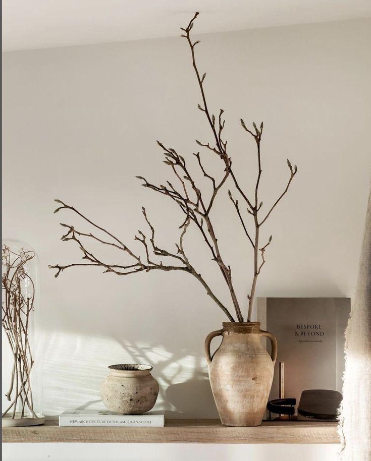 Ветка магнолии (сухоцвет) для декора