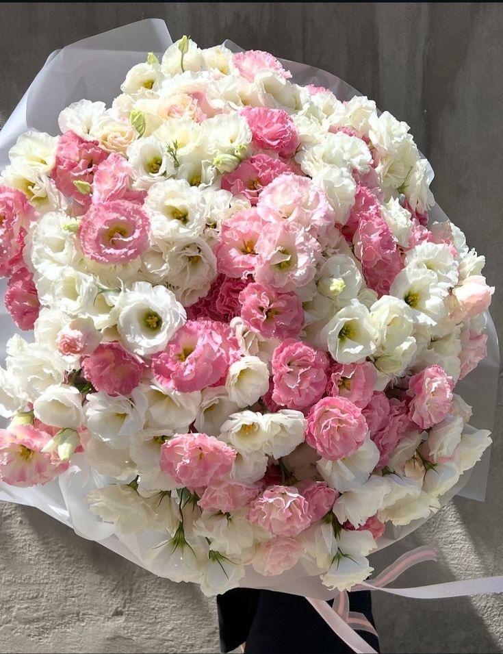 Лизиантус/эустома