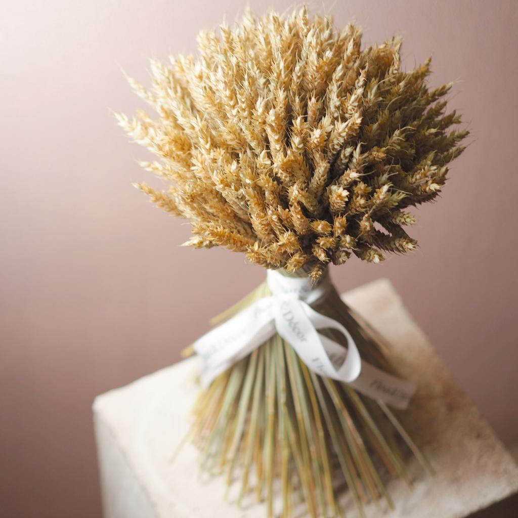 Букет из колосьев пшеницы