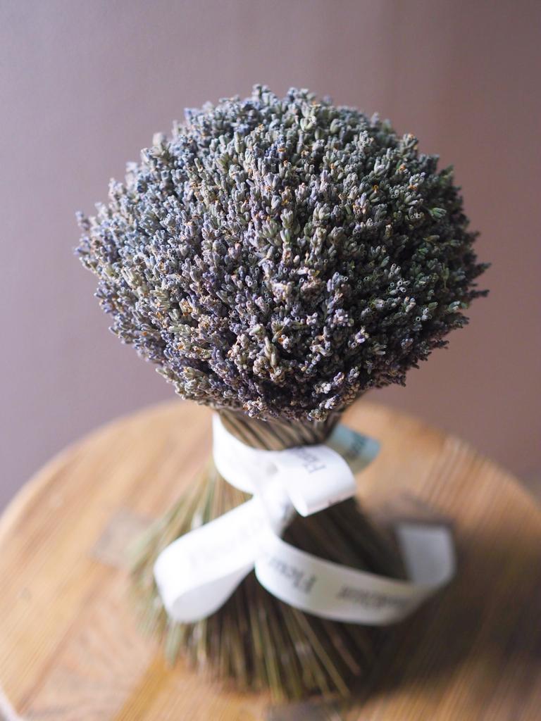 лаванда крымская