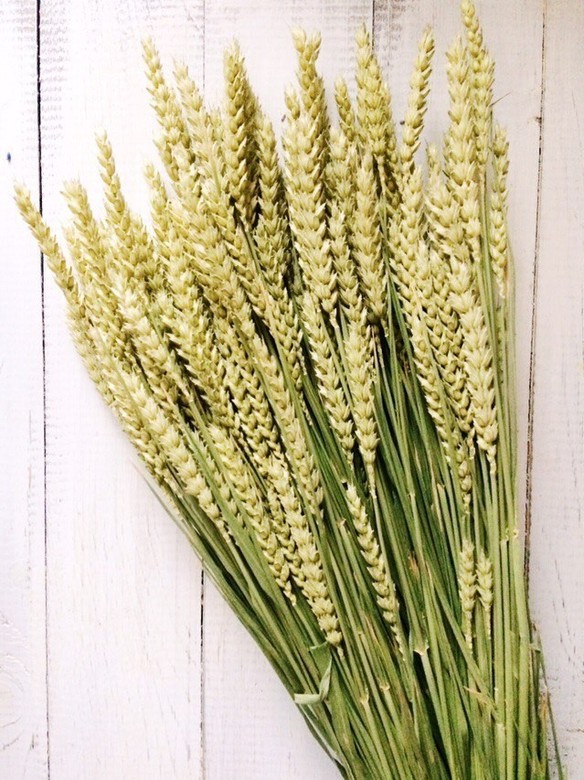 пшеница купить в Москве