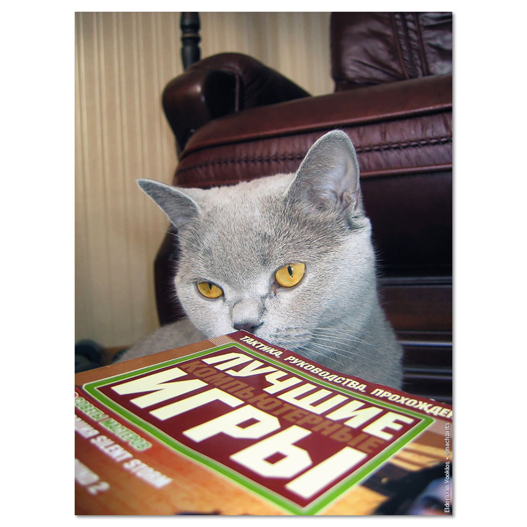 Лудшие Котпьютенные Игы