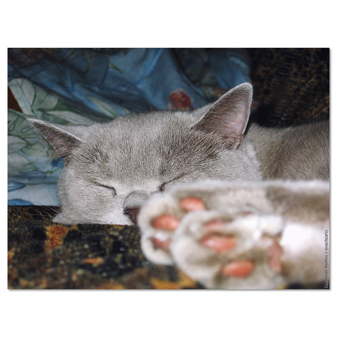 Zzz