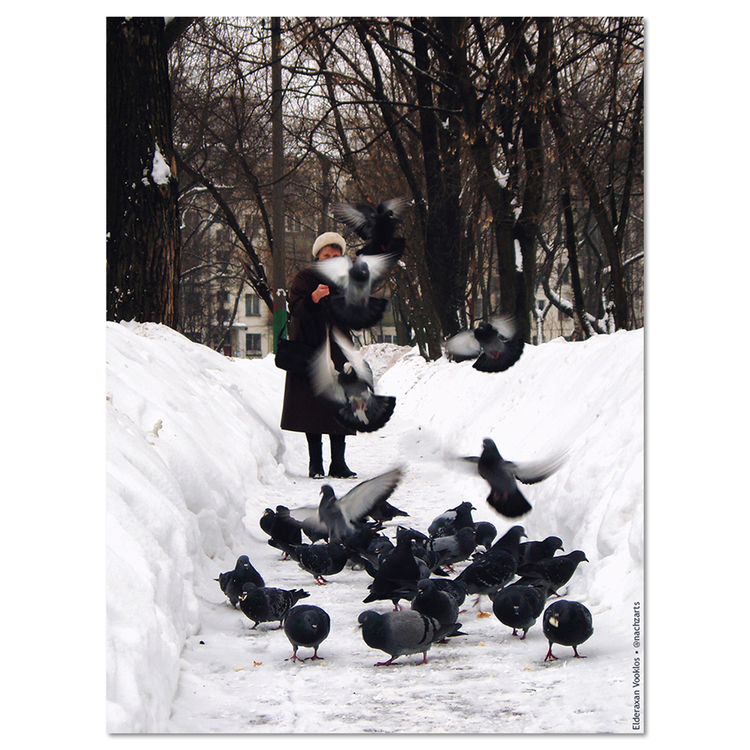 Зимовка в Перово (V)