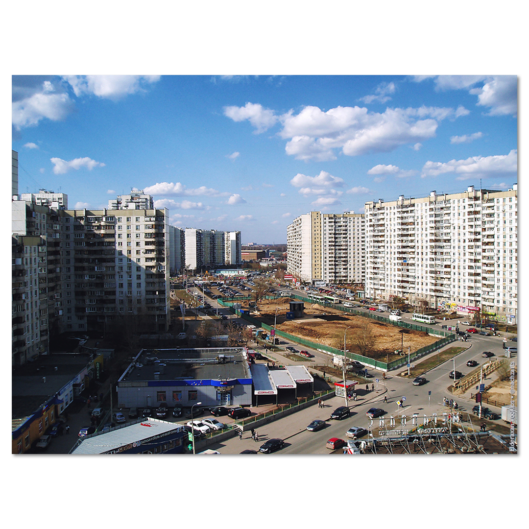 Помни корни