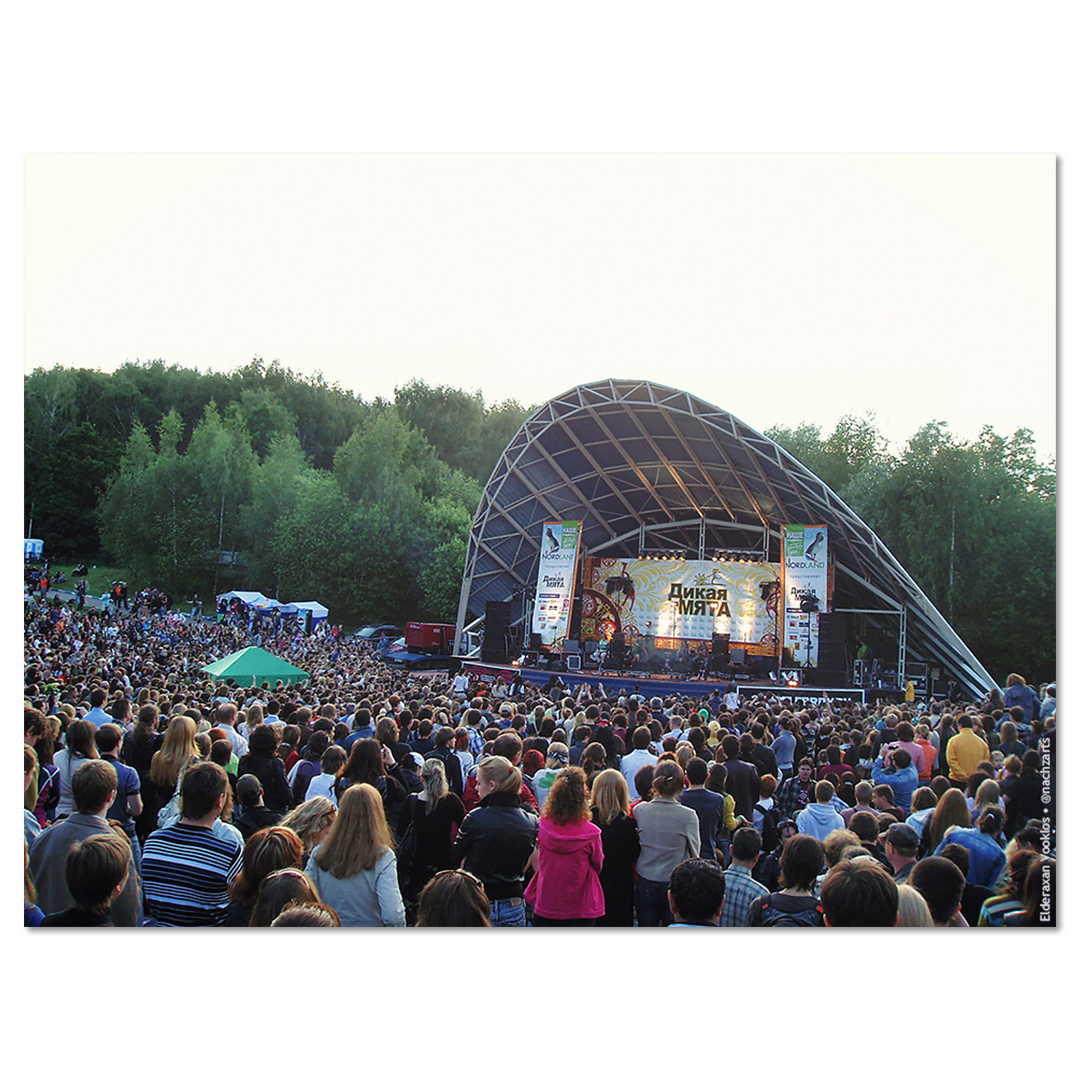 Дикая Мята 2010 (I)
