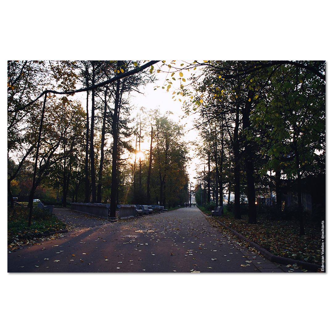 Дорогой Моссовета