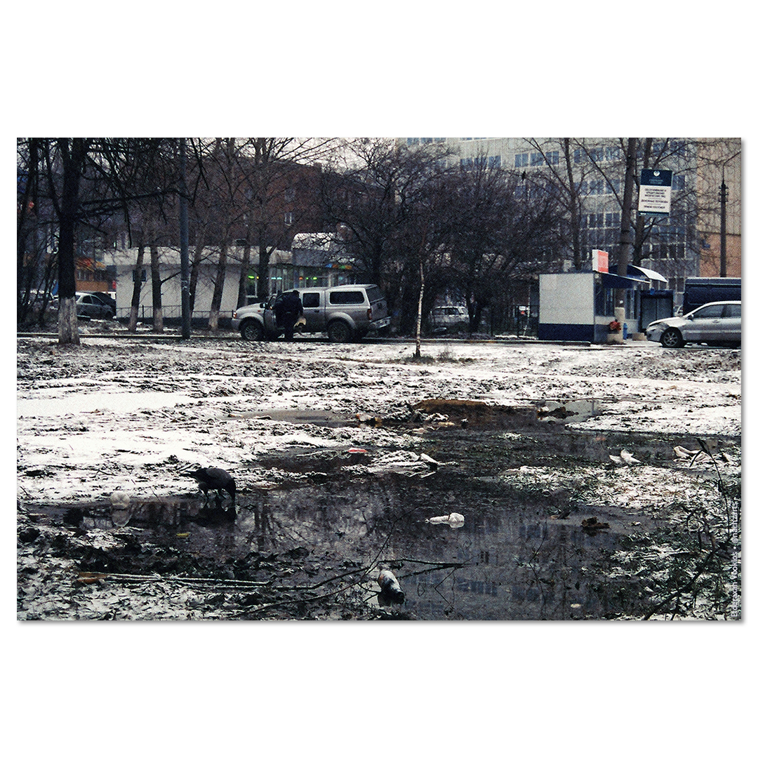 Свободен