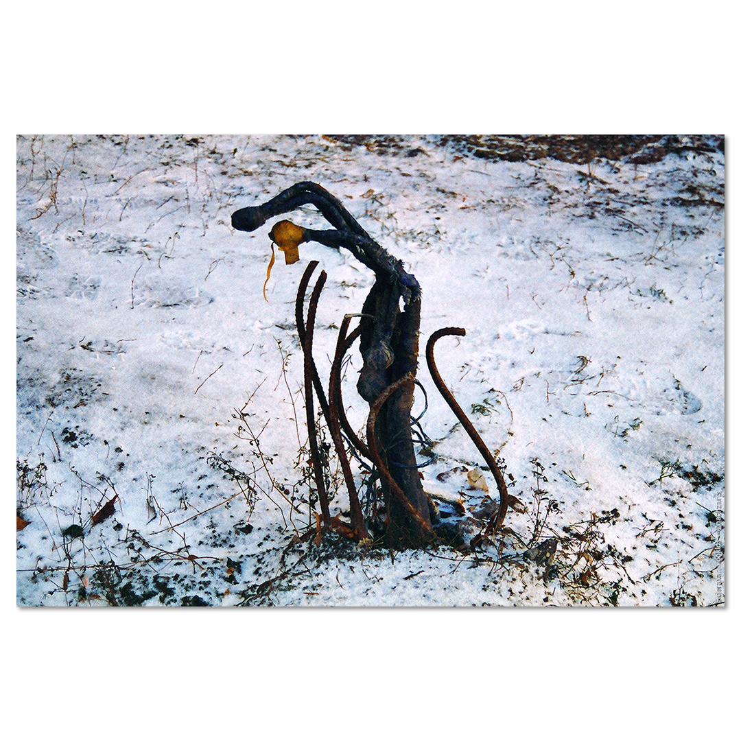Костлявая рука