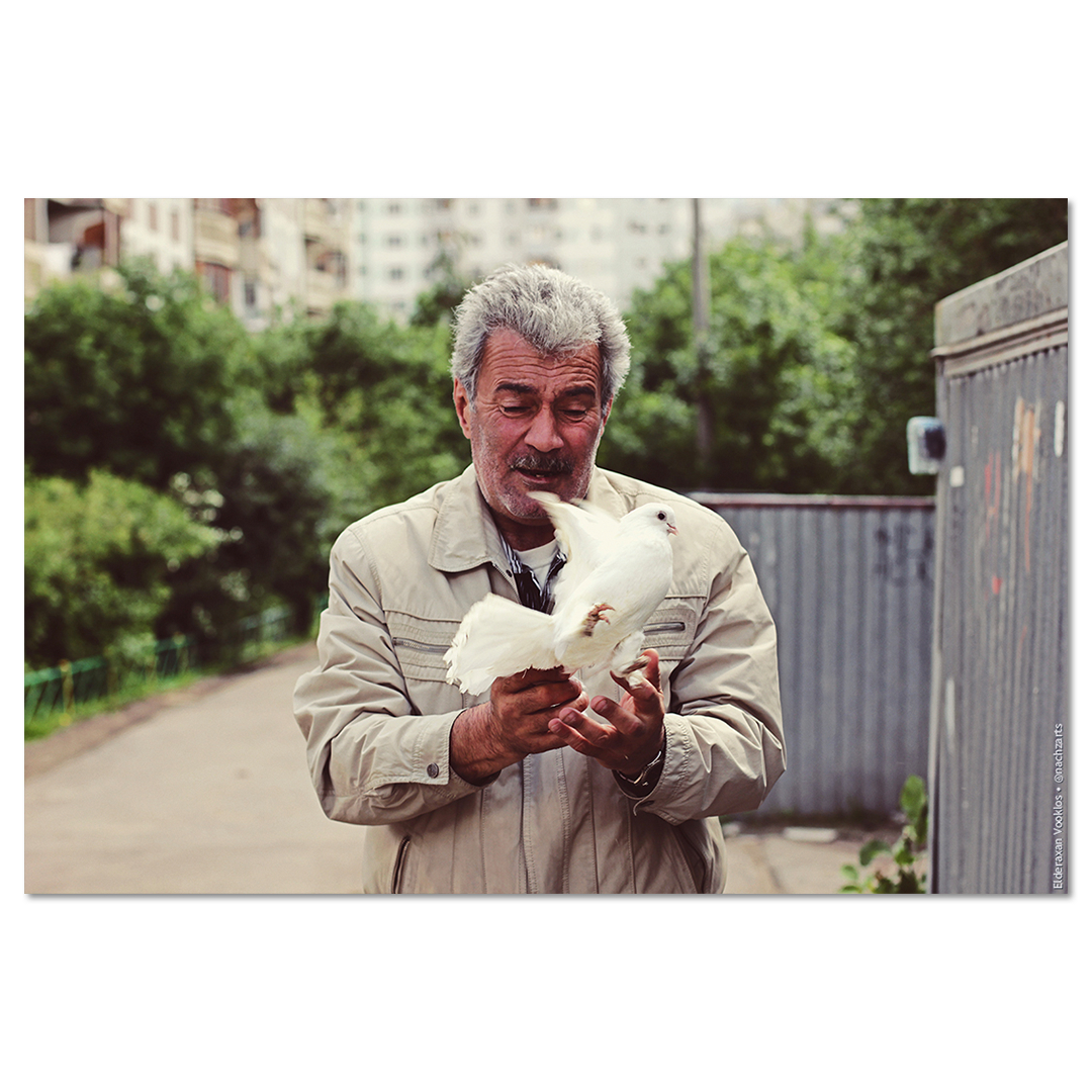 Смотритель за голубями (IV)