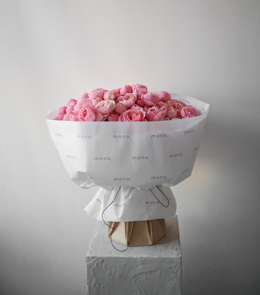 розы кустовые СИЛЬВА ПИНК | макси